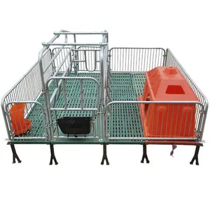 Gestation Farrowing Fattening Pig sow piglet stall Crate Pen cage Hot dip galvanized galvanizing pipe Pen