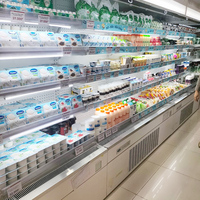 Vitrine Réfrigérée Commerciale Sans Givre à Ouverture Totale pour Supermarché, Idéale pour Boissons, Lait et Fruits - Vente en Gros