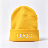 Bonnet en tricot à revers avec logo brodé personnalisé, chaud en acrylique pour l'hiver, pour hommes et femmes, vente en gros, sports de plein air