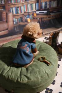 Wholesale Vintage Pet Tank <strong>Top</strong> Soft Fleece Dog Vest Embroidered Puppy Shirt Casual Pet Apparel for Dogs and <strong>Cats</strong> - Product Image 6