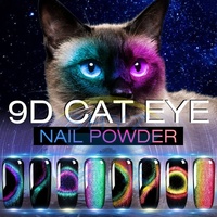 SHYZ 9D caméléon changement de couleur poudre à ongles nouveau Design Pigment magnétique pour le revêtement des yeux de chat sur le cuir