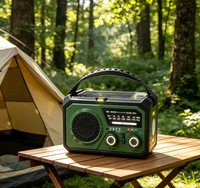Banque d'alimentation portable d'urgence 16000 mAh avec lampe de lecture, lampe torche LED, SOS, radio AM/FM et radio Internet pour la maison et l'extérieur