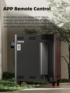 <span class=keywords><strong>Comprar</strong></span> <span class=keywords><strong>horno</strong></span> <span class=keywords><strong>de</strong></span> cerámica <span class=keywords><strong>de</strong></span> túnel seco con Recambio gratis - Product Image 5