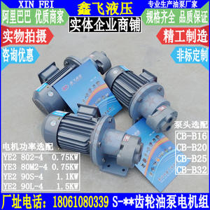 Pompe à huile 20A S-16A, unité d'engrenage 32A S-25A YE3 80M2-4 0.75KW, pompes hydrauliques - Product Image 2