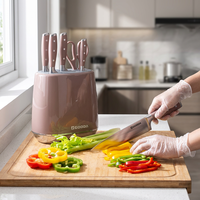 Ensemble de 6 couteaux de chef en acier inoxydable avec bloc, couteau Santoku, ciseaux de cuisine, manche rose, vente en gros