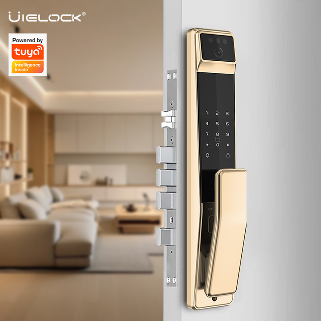 Tuya Fully Automatic Smart Door Lock 3D Face Fingerprint Recognition Camera Steel/Aluminum/Wood Doors Tuya App Wi-Fi Connected