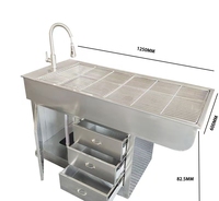 Table chirurgicale électrique pour animaux de compagnie en acier inoxydable 304, table de dissection chauffée à température contrôlée, lit chirurgical pour animaux