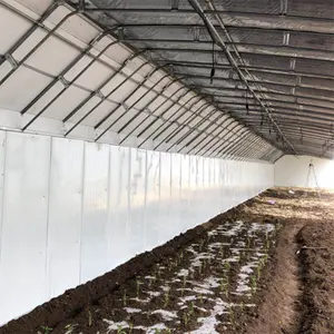 Invernadero de túnel polivinílico solar personalizado Nueva condición para granjas