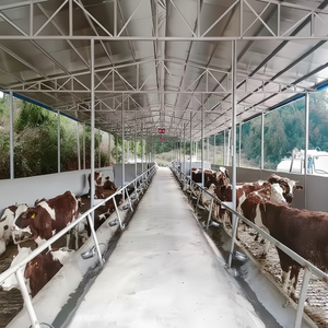 Structure de ferme à faible coût, conception personnalisée, hangar pour vaches, cadre d'entrepôts de construction en acier pour l'extérieur - Product Image 1