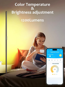 RGBIC LED Aluminum <b>Standing</b> Floor Corner Lamp Modern Tall Indoor Color Changing USB WiFi for App Remote Control Music Sync - Product Image 2