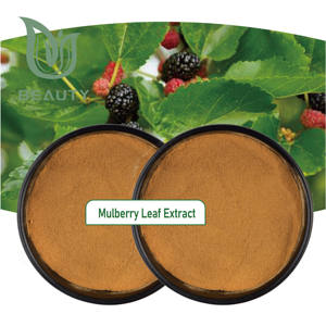 Iso מוסמך מכירה חמה 100% תמצית עלים אורגני טבעי אבקת תות עבור סוכרת - Product Image 3