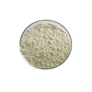 Hesperidina en polvo de la mejor calidad 95% HPLC Hesperidina Citrus Aurantium <span class=keywords><strong>Extract</strong></span> 95% - Product Image 1