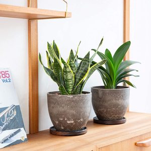 Support en <span class=keywords><strong>bois</strong></span> durable et plateau de soucoupe en bambou pour pot de <span class=keywords><strong>fleur</strong></span> petit support de jardinière de valeur ronde pour le jardin ou la maison - Product Image 6