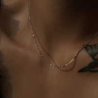 Nouveau Collier Dazan Été 2027 en Acier Inoxydable Plaqué Or PVD 18 carats, Style Minimaliste Chaîne Serpent Torsadée Superposée