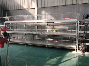 Premium galvanizli çelik H tipi Broiler tavuk kafesi yeni durum verimli hayvancılık tavuk çiftliği ekipmanları - Product Image 5