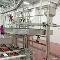 ZB 2024 Musulman Halal Bovins Porc Chèvre Abattoir Ligne Abattoir Machine Bovins Ovins Volaille Viande Abattage Équipement