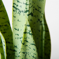 Plante bonsaï artificielle serpent de 56CM