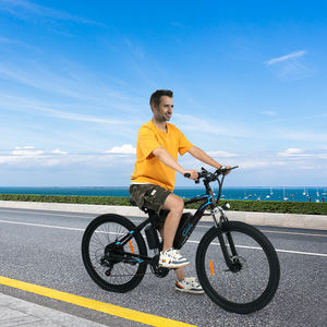 Vélo de montagne électrique 24V 10Ah 16 pouces, cadre en aluminium, batterie au lithium, moteur à moyeu avant 350W, 6 vitesses - Product Image 2