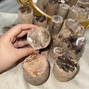 Großhandel hochwertige Baum platte Display natürlichen versteinerten Holz stumpf für Home Decoration - Product Image 3
