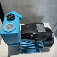 Pompe périphérique électrique de haute qualité 1 HP pompe de surpression à eau auto-amorçante