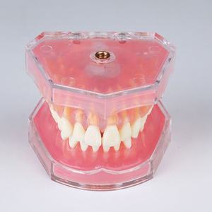 Dentale denti rimovibili modello gomma morbida - Product Image 4