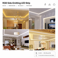Bande LED latérale WISMART 12V SMD335 020 RGB, 60 LED/m, rouleau de 5 m, IP20, flexible, éclairage latéral pour décoration intérieure
