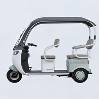 Triciclo Eléctrico para Adultos, 500W, Carrocería Abierta, 3 Pasajeros, para Paseos en el Parque y Picnic