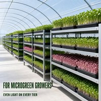 Film de serre PO 7 couches, lumière diffusée, anti-UV, anti-buée, autonettoyant, couverture agricole pour la plantation de fleurs et les boutures, garantie 5 ans