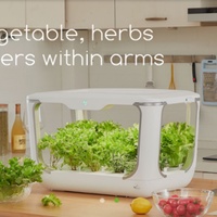 Boîte de culture verticale intérieure avec finition thermolaquée, jardin hydroponique domestique pour légumes, trou de drainage, écologique