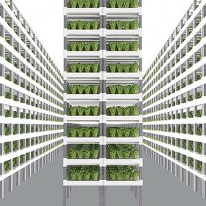 Sistema Hidropónico Inteligente Controlado por Aplicación, Agricultura Vertical Interior, Sistema Modular de Cultivo Hidropónico de Frutas y Vegetales - Product Image 1