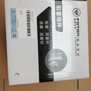 E049303000045/BJ493ZLQ3 Liner kit Euro3 per FOTON - Product Image 3