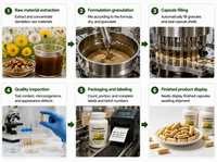 Capsules d'extrait de pissenlit, complément alimentaire à base de plantes, formule personnalisée en marque blanche, capsules en vrac pour femmes adultes
