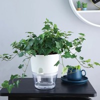 Pot de fleurs auto-arrosant en plastique, pot hydroponique transparent à double couche avec corde en coton pour l'arrosage des plantes succulentes