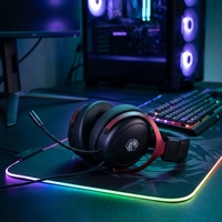 Casque de jeu filaire RGB personnalisé avec logo, cadre métallique, son stéréo haute fidélité, micro USB, faible latence