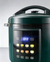 Autocuiseur électrique multifonctionnel 8 en 1 6L 1000W avec icônes colorées brillant pour usage domestique