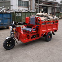 Tricycle à essence à trois roues avec caisse en acier et châssis robuste, véhicule de livraison de marchandises à moteur essence pour le marché (type moto)