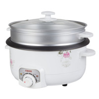 Vente flash - Cuisinière électrique multifonctionnelle 1300W, capacité 3L, avec bouton de réglage de la puissance, modèle classique
