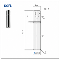 Goupille de guidage droite D8-25 JIS SGPN, fabrication OEM, tolérance de diamètre M5, pour matrices progressives et moules automobiles