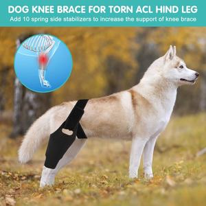 6 yan stabilizatörler ile köpek dizlik Fit <span class=keywords><strong>4</strong></span> bacaklar, yırtılmış Acl Hind bacak Luxating Patella için köpek bacak parantez, köpek kalça eklem bakım Sup - Product Image 5