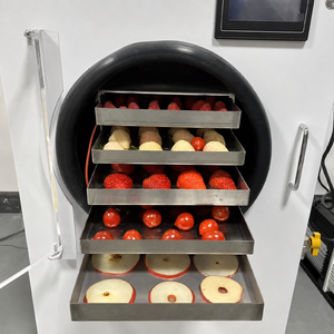 Máquina de Secado por Congelación al Vacío Automática de Acero Inoxidable Nathi, la Más Vendida, para Frutas, Verduras y Carne - Product Image 2