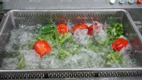 WASC-10 Commerciële Groente- en Fruitwasmachine met Motor, 304 RVS, 220V, 200-300kg/u capaciteit, CE-gecertificeerd