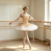 Tutu de ballet professionnel pour adulte avec broderie féerique classique, design pancake, costumes de scène pour filles