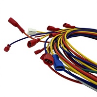 Faisceau de câbles basse tension 1569/1007 105 ℃   Ensemble de câbles 300V 18AWG (longueur personnalisable)
