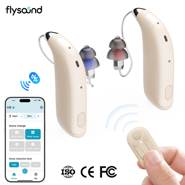 Flysound China Air Conduction Hearing Aids Rechargeable Adaptive Scenario Feedback Suppression Hearing Aids for Hearing Impaired