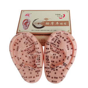 10cm耳反射区模型、マッサージ耳模型、伝統中国医学教育用鍼灸経絡模型 - Product Image 2