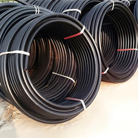 Tuyau flexible en PEHD enroulable avec résistance UV haute pression, moulage écologique pour l'irrigation industrielle par goutte-à-goutte