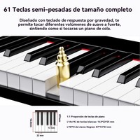 TERENCE TS-01 61-Key Electronic Digital Keyboard & Portable Electric Organ Home Piano for Personal Music Creation