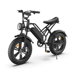 미국 주식 E20 750W 전기 자전거 1000W 지방 타이어 자전거 해변 크루즈 전자 자전거 모든 지형 오프로드 Ebike 자전거