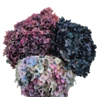 Mur de fleurs hortensias stabilisés vraies fleurs d'hortensia séchées anna hortensia préservé pour les événements à la maison décor de mariage bricolage artisanat