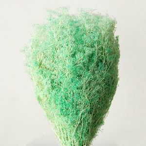 Micro Paysage Arbres Arbustes DIY Cadre Photo Peinture Décoration Modèle Architectural Vie Éternelle Fleur Saint Valentin - Product Image 1